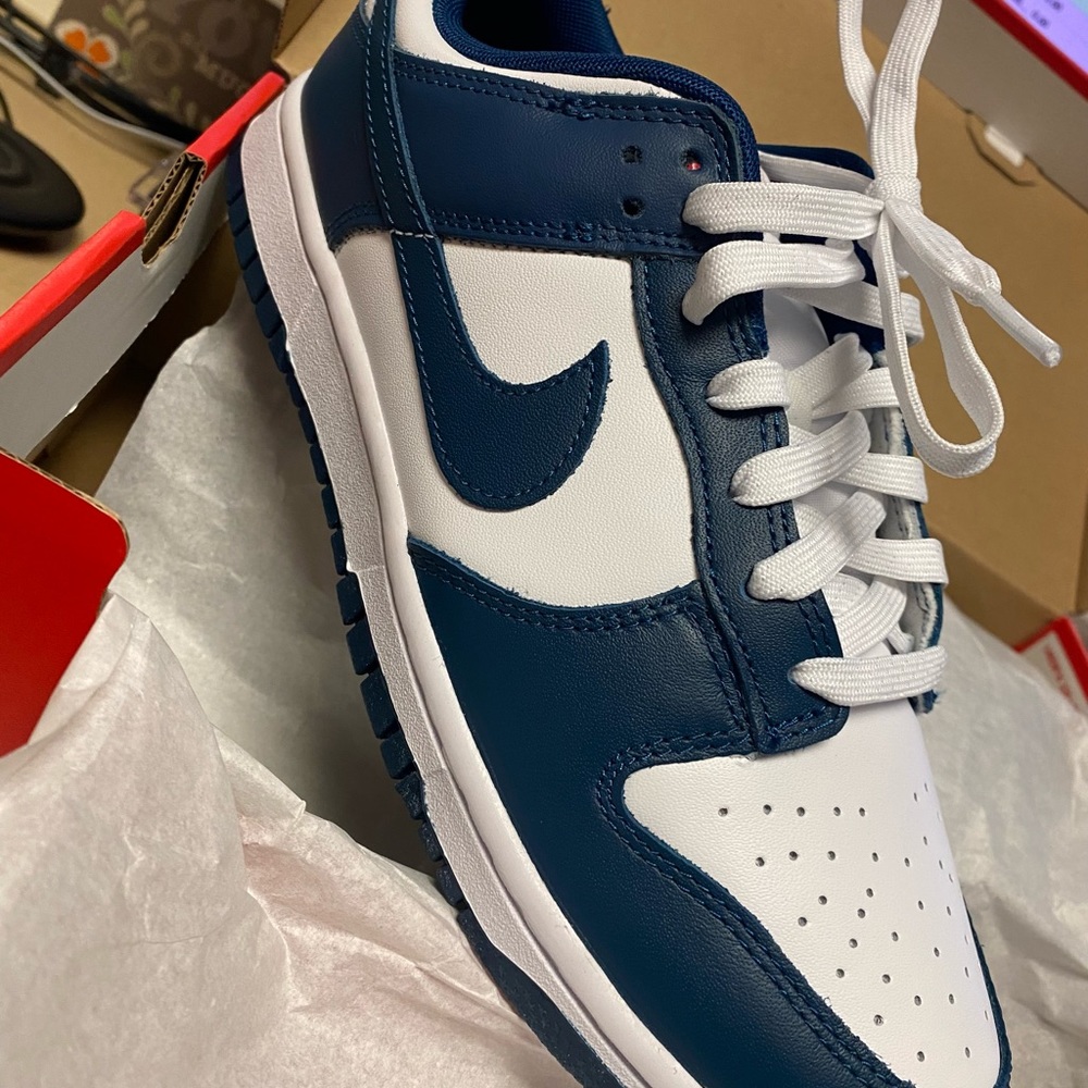 Nike Dunk Low Sneakers